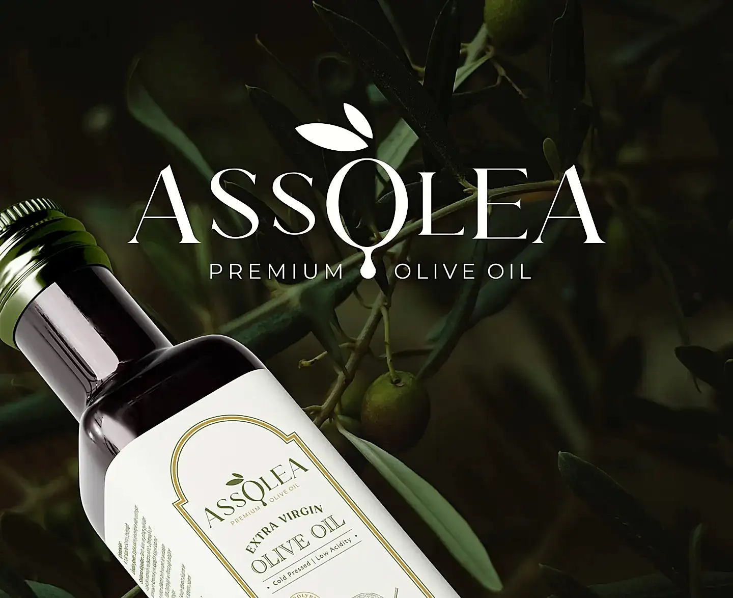 Zeytinyağı Logo Tasarımı ve Ambalaj Tasarımı